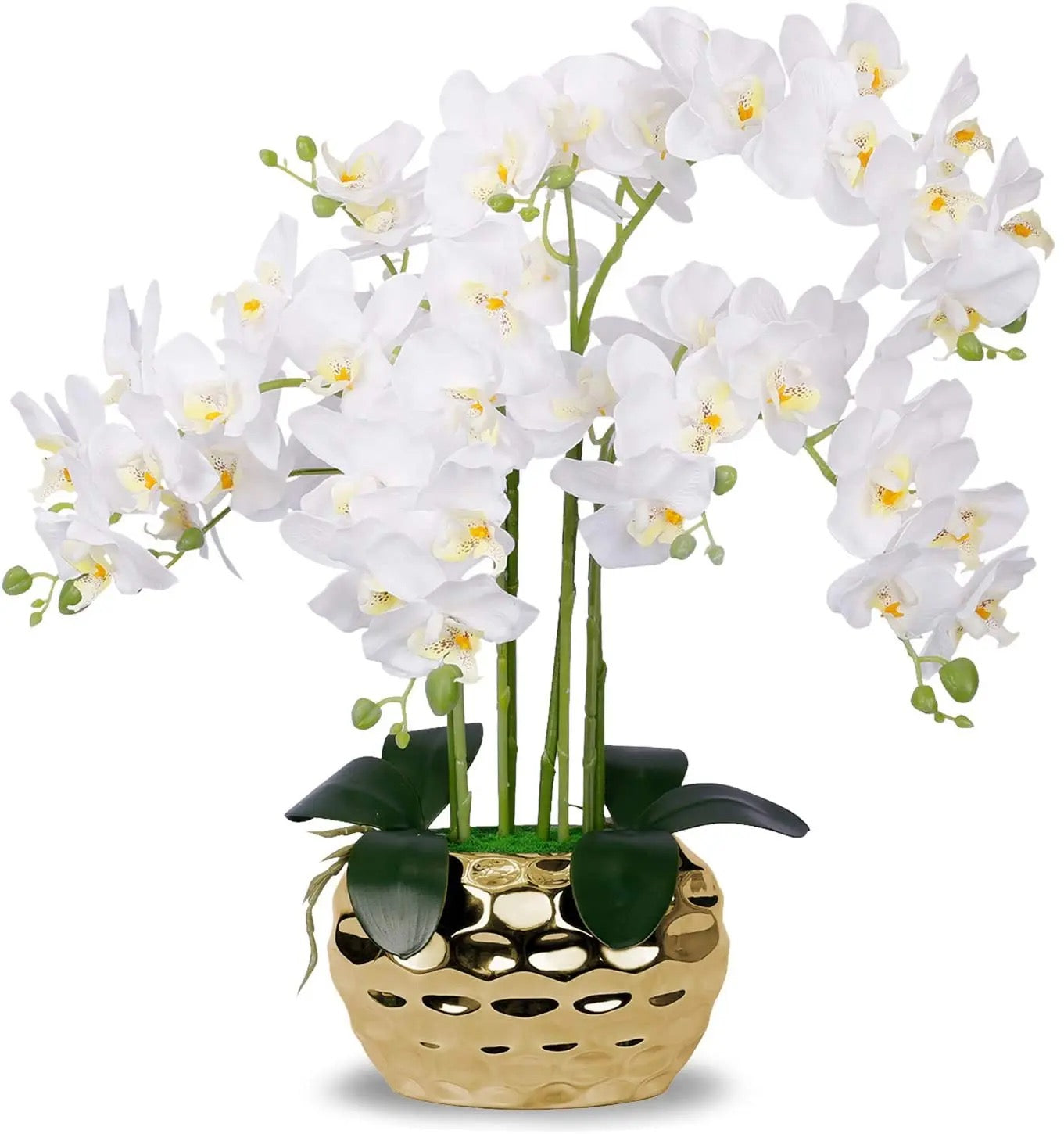 SJ Orchid Planter