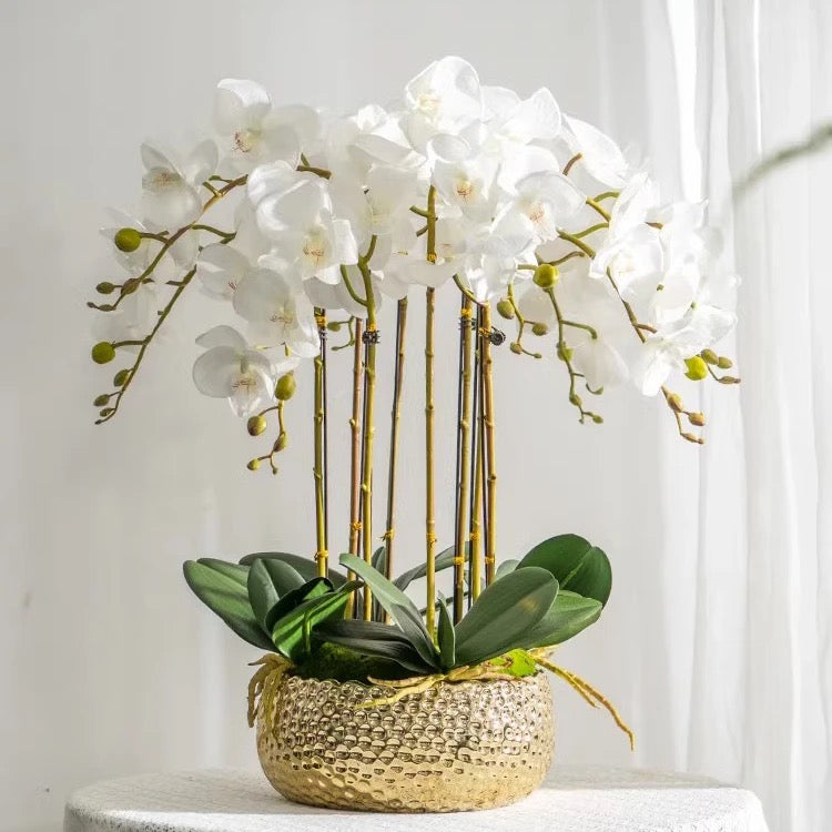 SJ Orchid Planter