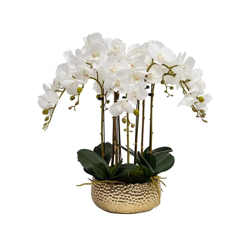 SJ Orchid Planter