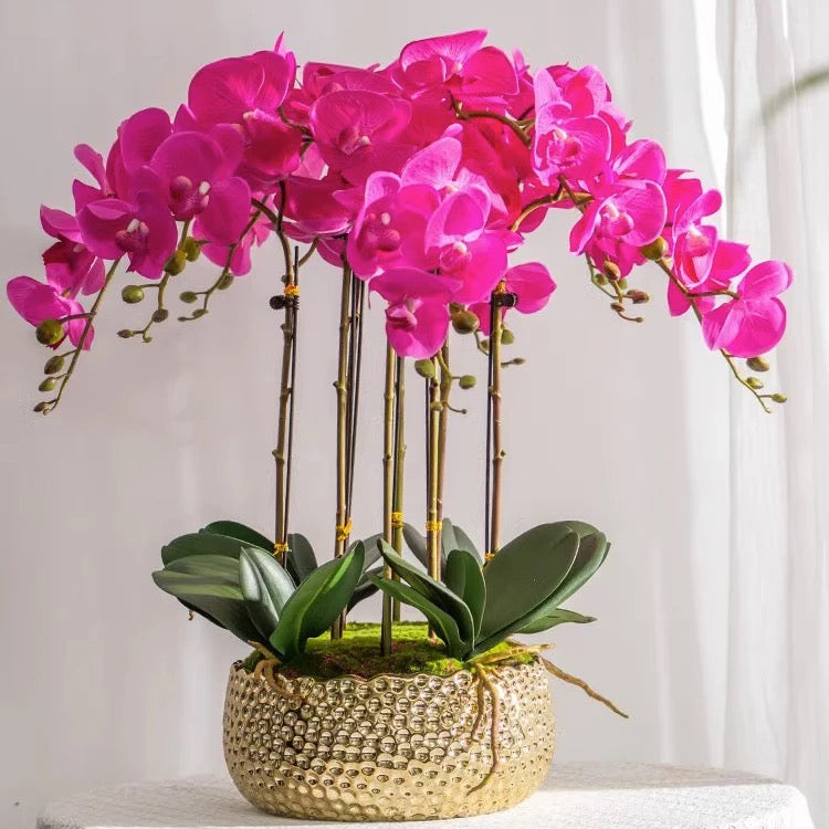 SJ Orchid Planter