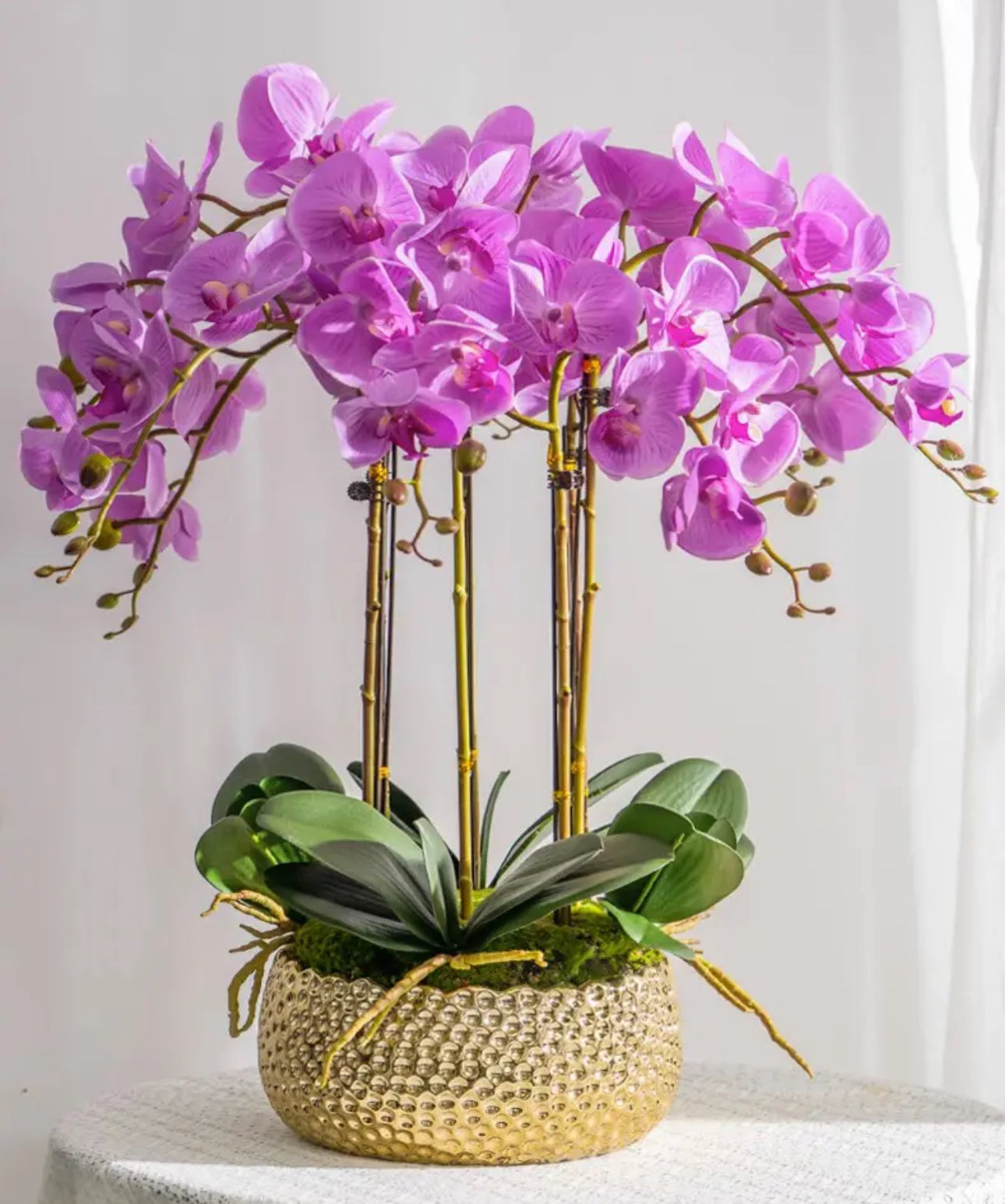 SJ Orchid Planter